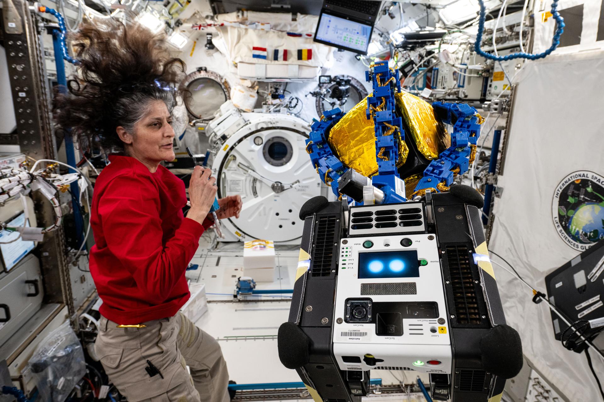 NASA astronaut and Expedition 72 Commander Suni Williams monitors an Astrobee robotic free-flyer outfitted with tentacle-like arms containing gecko-like adhesive pads as it grapples a "capture cube." The toaster sized Astrobee, with the experimental grippers attached, demonstrated autonomous detection and capture techniques that may be used to remove space debris and service satellites in low Earth orbit.