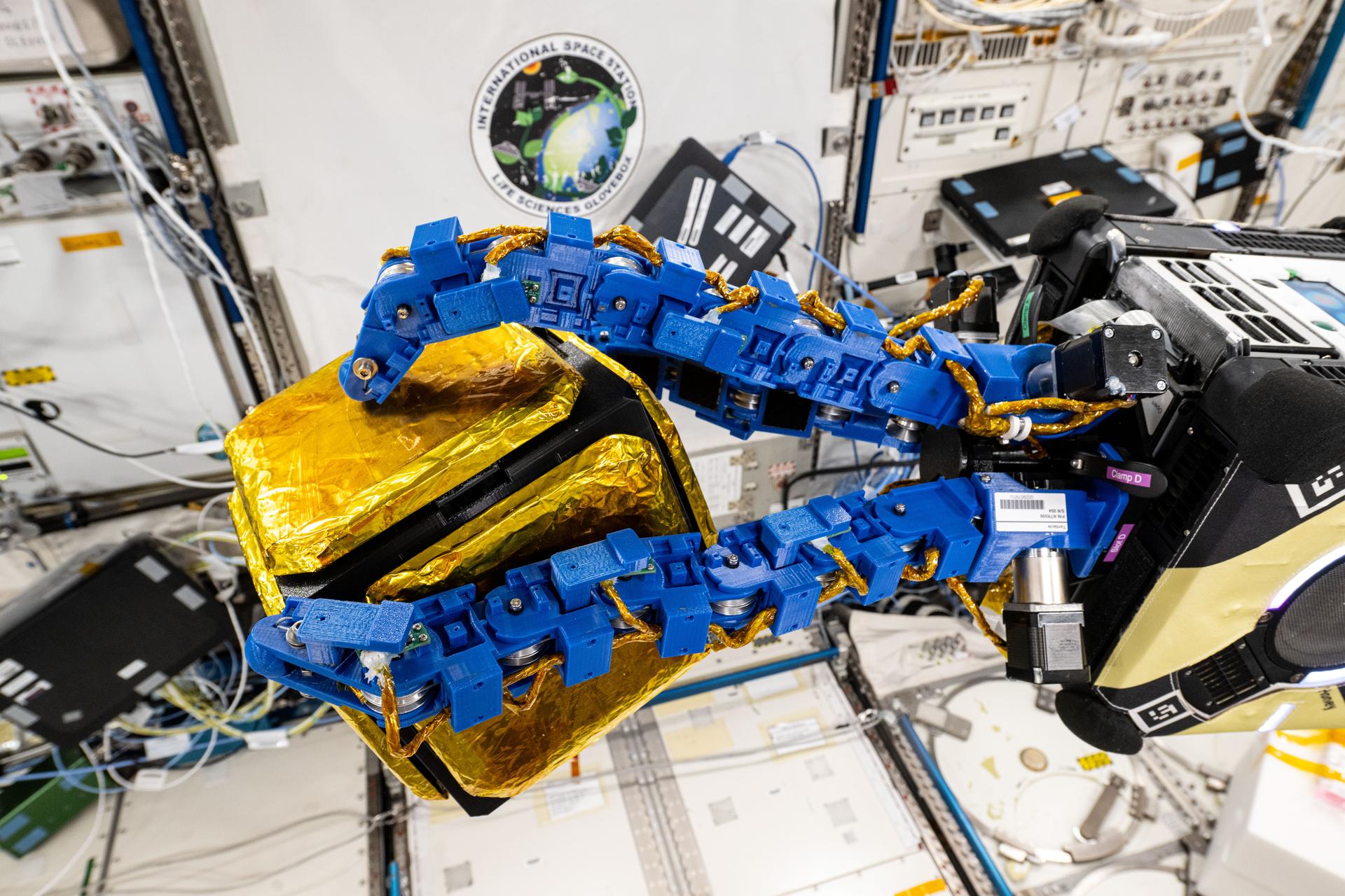 The blue tentacle-like arms containing gecko-like adhesive pads, attached to an Astrobee robotic free-flyer, reach out and grapple a "capture cube" inside the International Space Station's Kibo laboratory module. The experimental grippers, outfitted on the toaster-sized Astrobee, demonstrated autonomous detection and capture techniques that may be used to remove space debris and service satellites in low Earth orbit.