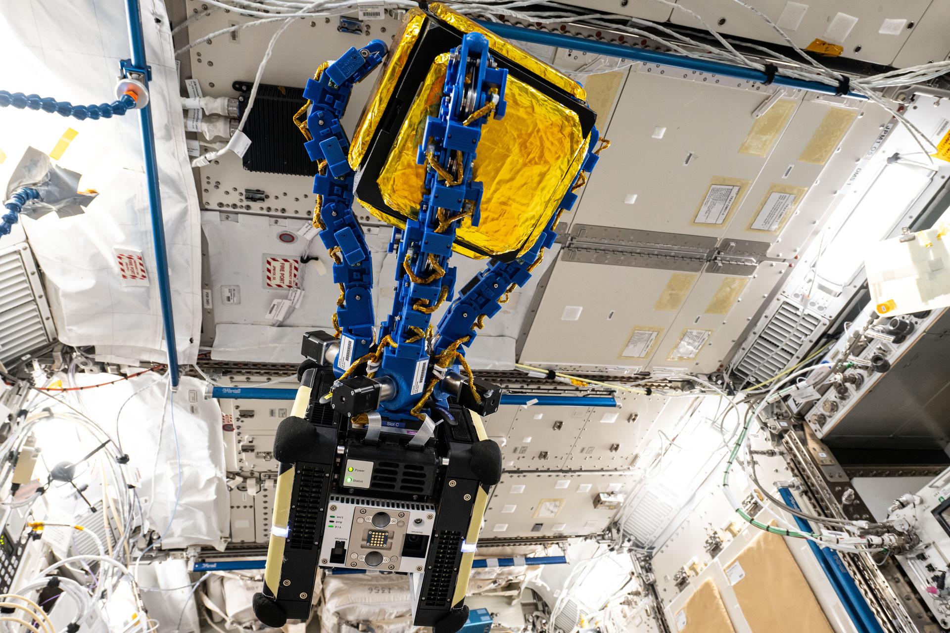 The blue tentacle-like arms containing gecko-like adhesive pads, attached to an Astrobee robotic free-flyer, reach out and grapple a "capture cube" inside the International Space Station's Kibo laboratory module. The experimental grippers, outfitted on the toaster-sized Astrobee, demonstrated autonomous detection and capture techniques that may be used to remove space debris and service satellites in low Earth orbit.