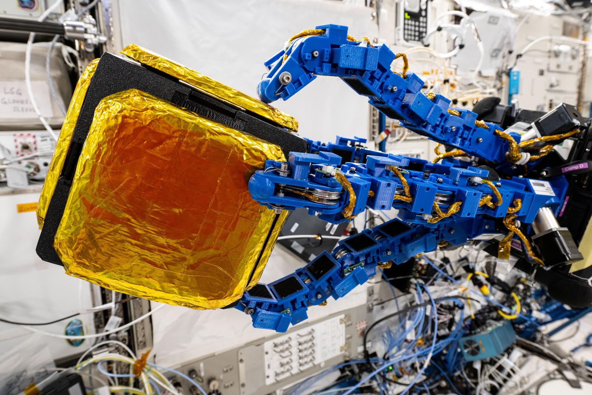 The blue tentacle-like arms containing gecko-like adhesive pads, attached to an Astrobee robotic free-flyer, reach out and grapple a "capture cube" inside the International Space Station's Kibo laboratory module. The experimental grippers, outfitted on the toaster-sized Astrobee, demonstrated autonomous detection and capture techniques that may be used to remove space debris and service satellites in low Earth orbit.