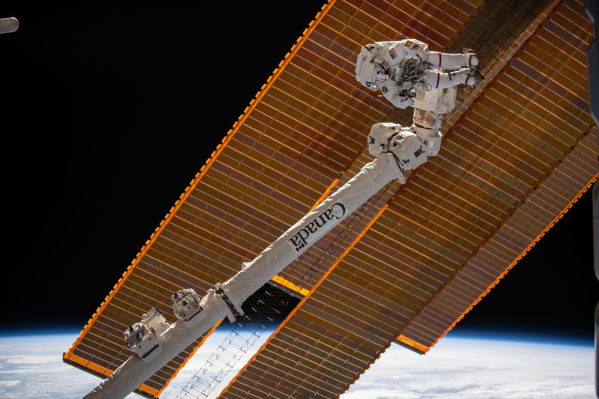 NASA astronaut and Expedition 72 Commander Suni Williams is attached to the Canadarm2 robotic arm's latching end effector while being maneuvered to her worksite 264 miles above the South Pacific Ocean. Williams removed and stowed a radio frequency group antenna assembly during the five-hour and 26-minute spacewalk outside the International Space Station.