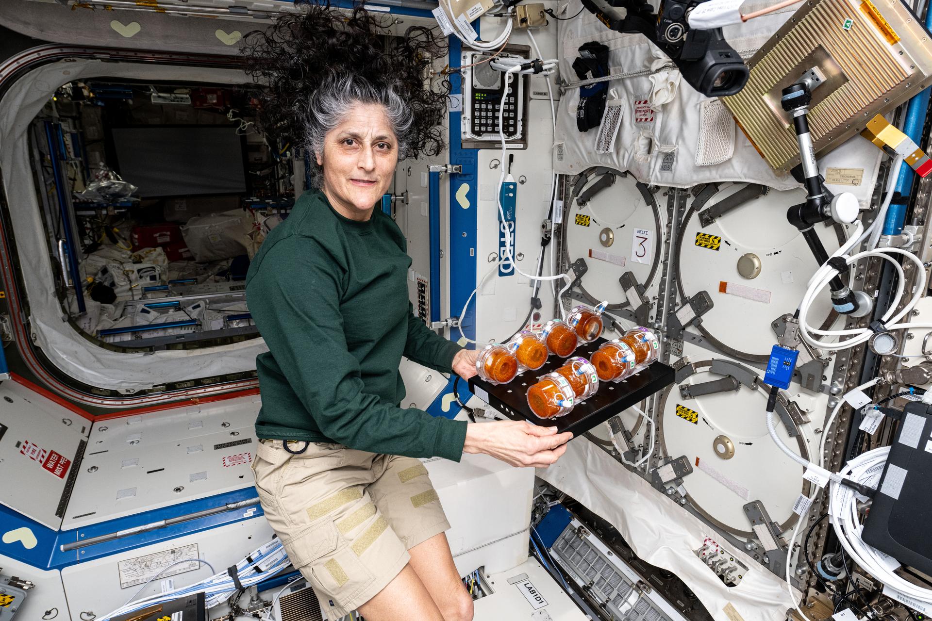 NASA astronaut and Expedition 72 Commander Suni Williams displays production packs containing geneticallly engineered yeast and edible media for incubation to activate yeast growth. The BioNutrients investigation explores using the engineered yeast to produce on-demand nutrients and avoid vitamin deficiencies for crews on long-term missions. The samples are later frozen then returned to Earth to analyze their ability promote crew health and improve the preservation of probiotics.