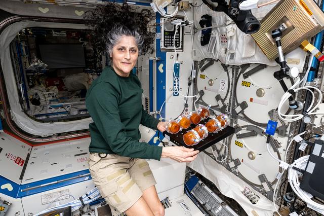 NASA image: Astronaut Suni Williams displays production packs containing geneticallly engineered yeast