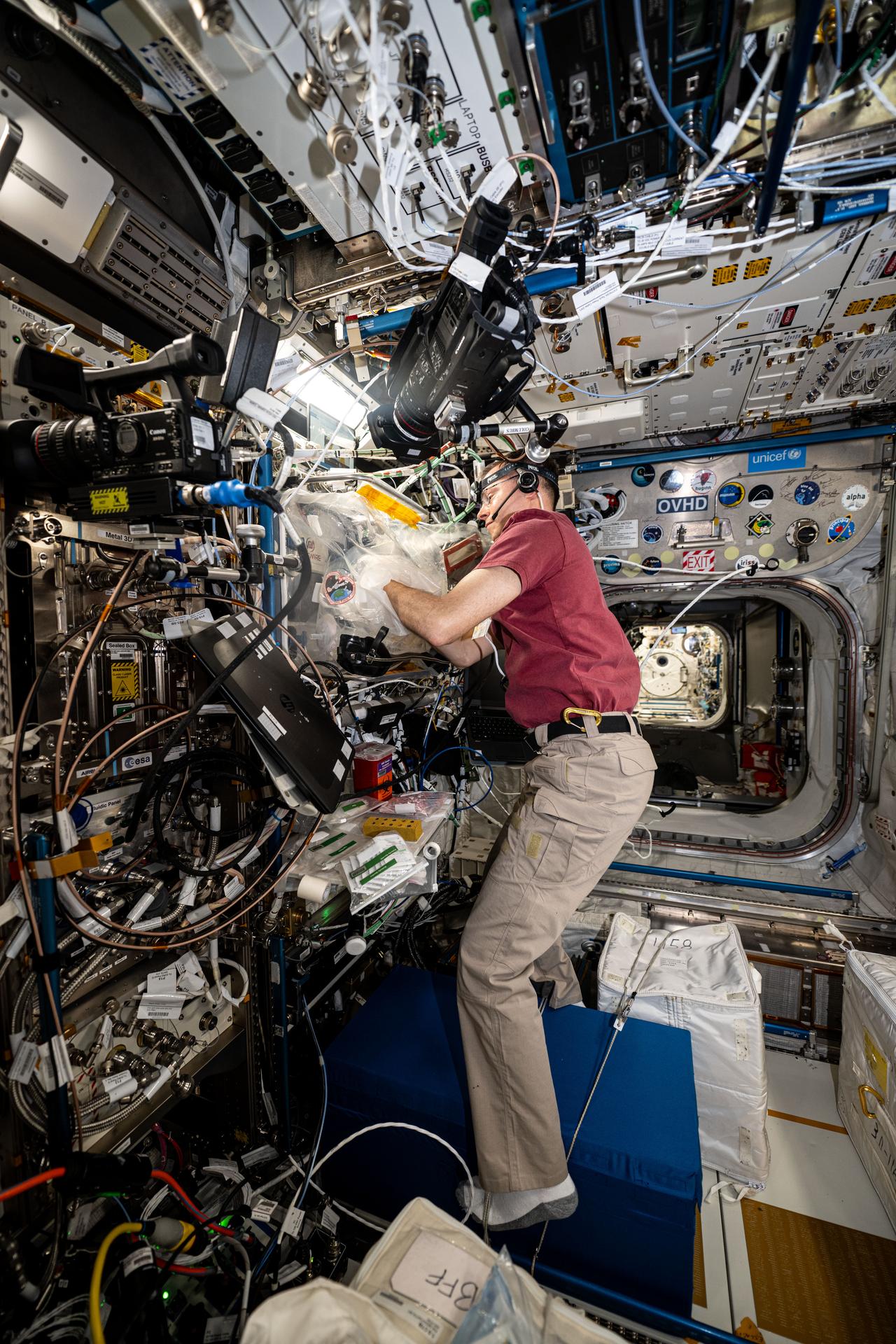 NASA astronaut and Expedition 72 Flight Engineer Nick Hague works in a portable glovebag and cleans pumps, replaces components, and installs bio-ink syringes inside the BioFabrication Facility being tested for its capability to print biological, or organ-like, tissues in space and learn how to eventually fabricate human organs off the Earth.
