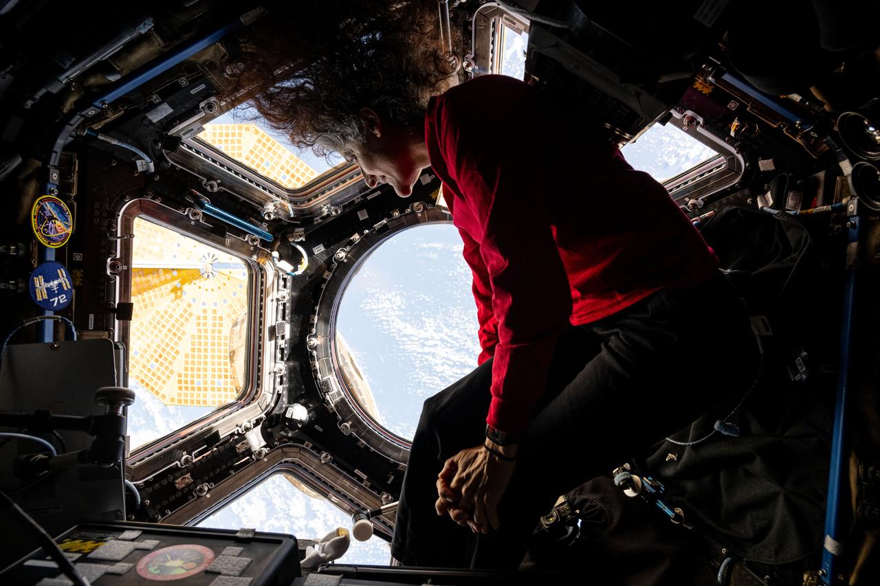 iss072e742802 (March 9, 2025) --- NASA astronaut and Expedition 72 Flight Engineer Suni Williams peers at the Earth below from inside the International Space Station's cupola. The orbital outpost was soaring 260 miles above the Indian Ocean at the time of this photograph.