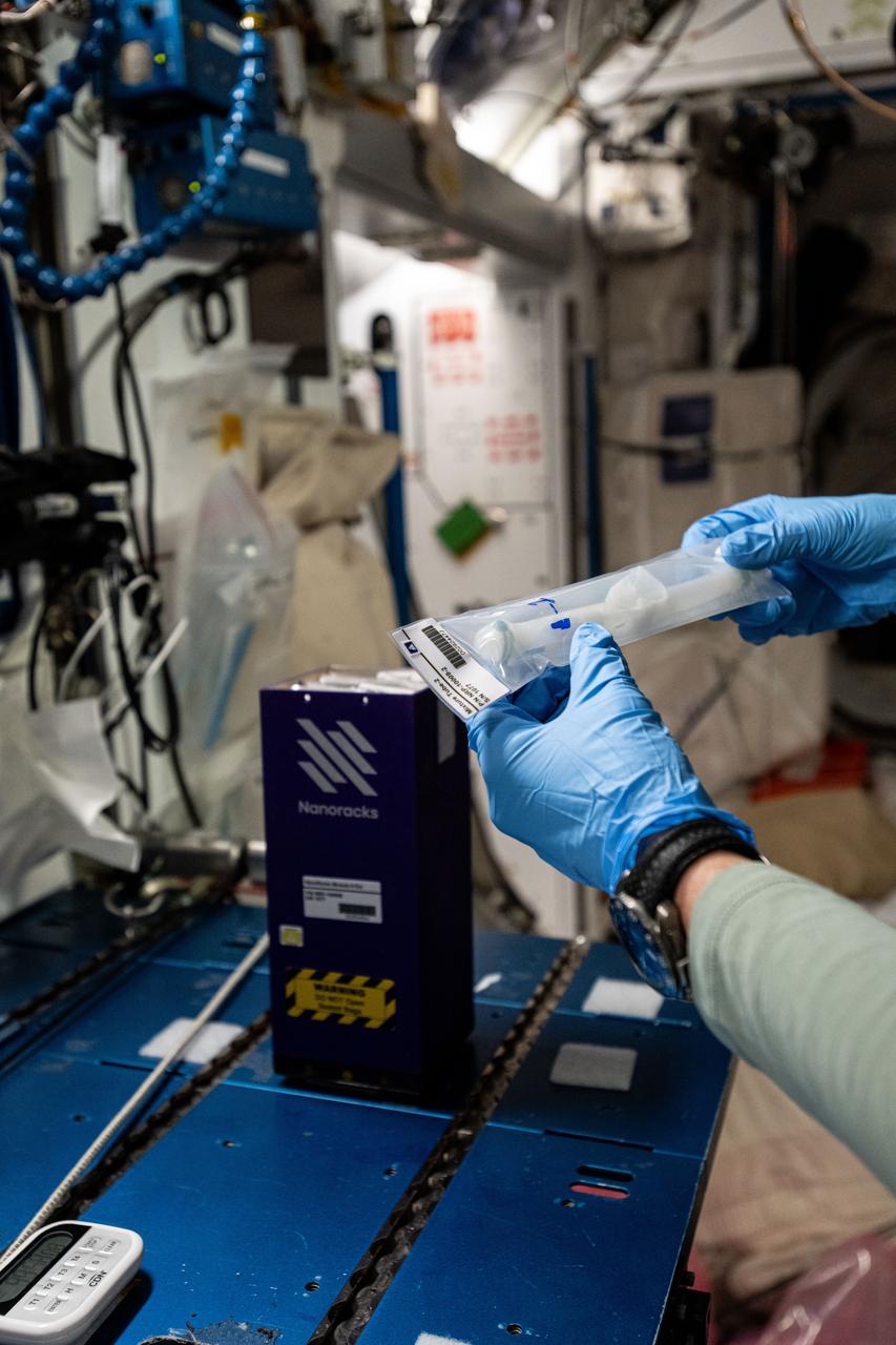 iss073e0001404 (4/23/2025) --- NASA astronaut  Nichole Ayers prepares mixture tubes containing research samples for the Nanoracks Module-9 series of student-designed space experiments. Ayers was working at the Harmony module's maintenance work area aboard the International Space Station.