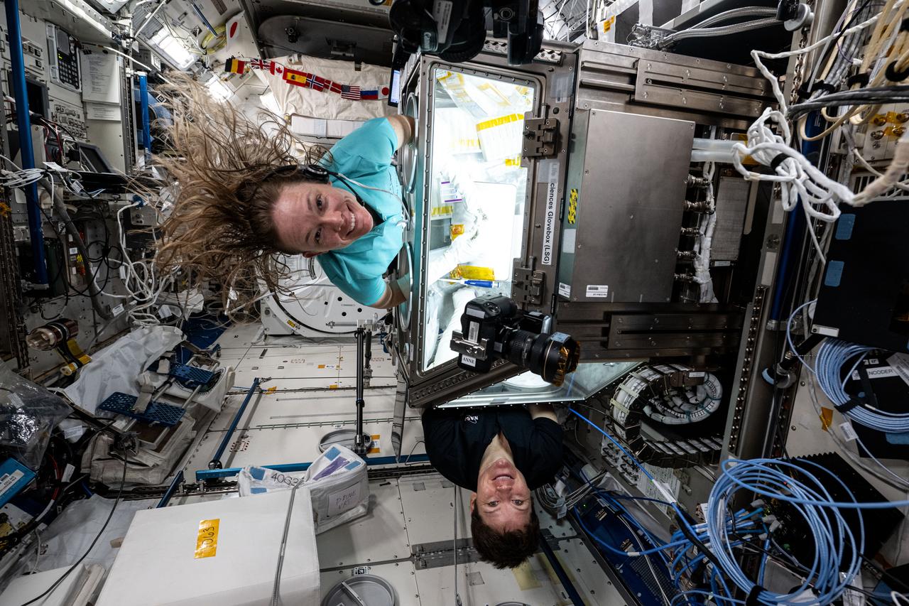 iss073e0001816 (4/25/2025) --- NASA astronauts Anne McClain, top, and Nichole Ayers, right, use the space station’s Microgravity Science Glovebox to work on DNA Nano Therapeutics-Mission 2. This investigation tests in-space production of special DNA-inspired nanomaterial building blocks and evaluates whether they reduce joint inflammation and help regenerate cartilage lost due to arthritis. These materials are less toxic, more stable, and more compatible with living tissues than current drug delivery technologies and could provide relief to patients with fewer side effects.