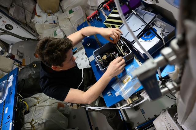 NASA image: NASA astronaut Anne McClain swaps hardware that promotes physical science and crystalization research
