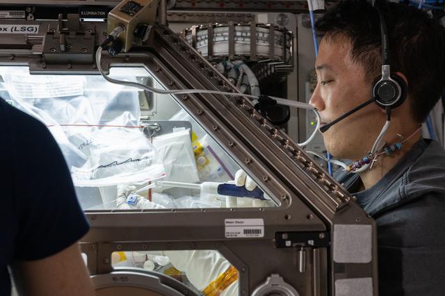 NASA image: iss073e0025618