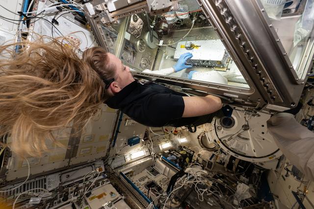 NASA image: iss073e0025988