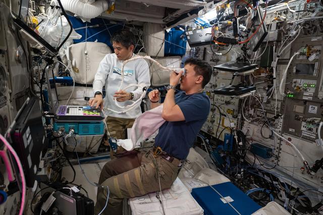 NASA image: iss073e0026012