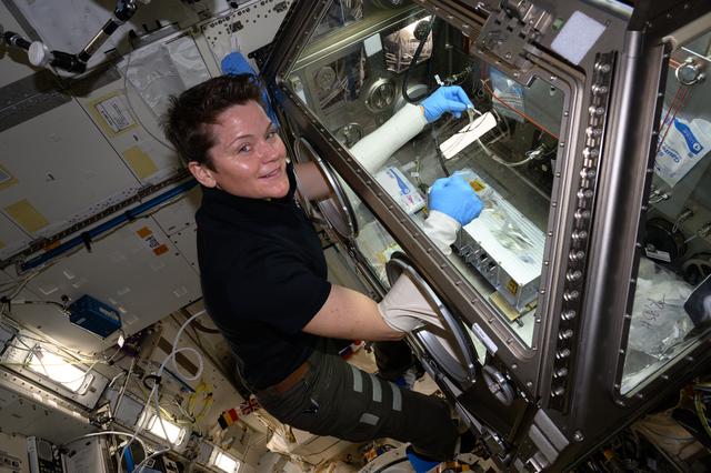 NASA image: NASA astronaut Anne McClain processes bacteria samples for viewing inside a 3D imaging microscope