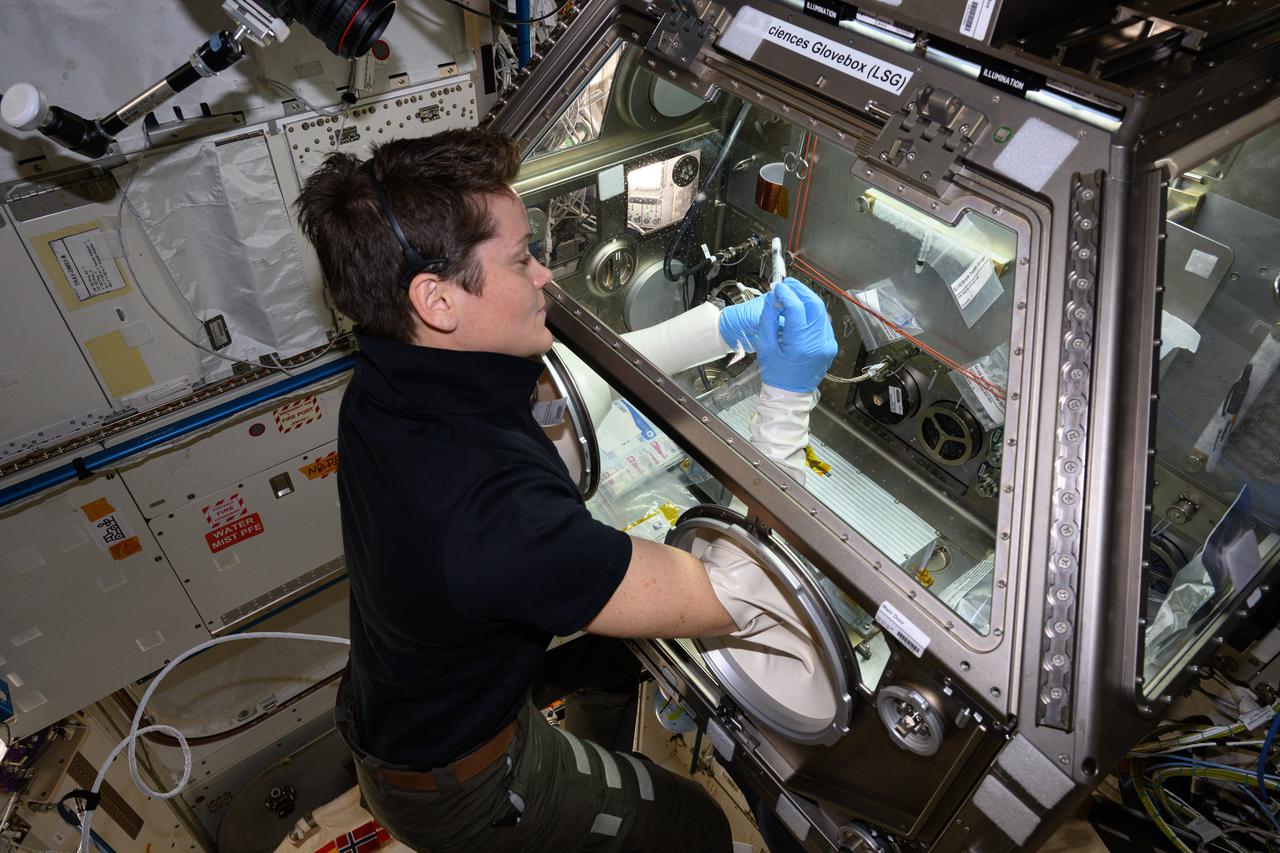 iss073e0027808 (May 10, 2025) --- NASA astronaut and Expedition 73 Flight Engineer Anne McClain works in the Kibo laboratory module's Life Sciences Glovebox processing bacteria samples before viewing them inside a 3D imaging microscope called the Extant Life Volumetric Imaging System, or ELVIS. The technology demonstration may enable applications for monitoring water quality, detecting infectious organisms on spacecraft, and researching colloids (suspensions of particles in a liquid) and microorganisms in microgravity.