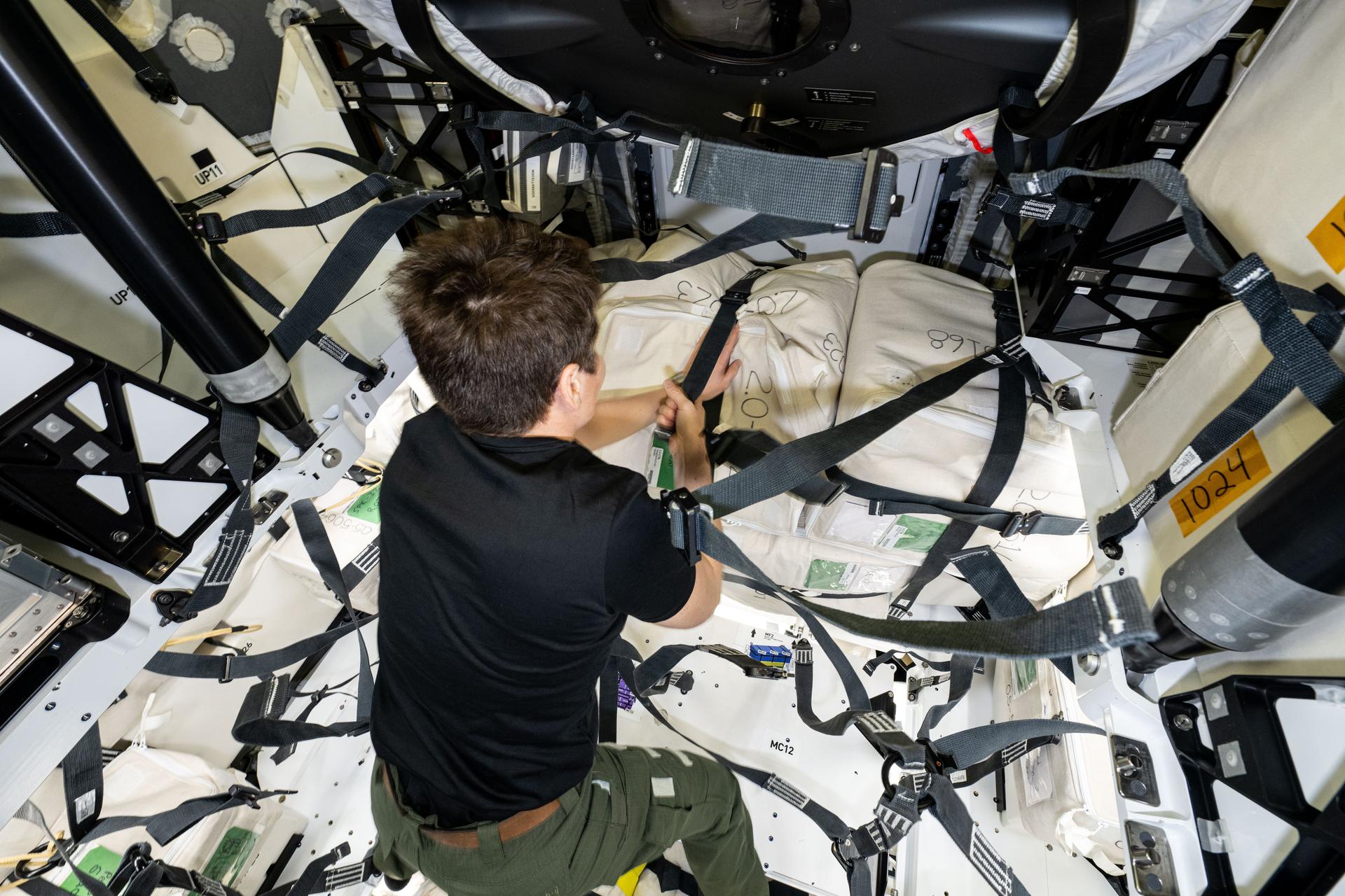 NASA astronaut and Expedition 73 Flight Engineer Anne McClain works inside the SpaxeX Dragon spacecraft loading and securing cargo for the return to Earth scheduled for May 22, 2025.