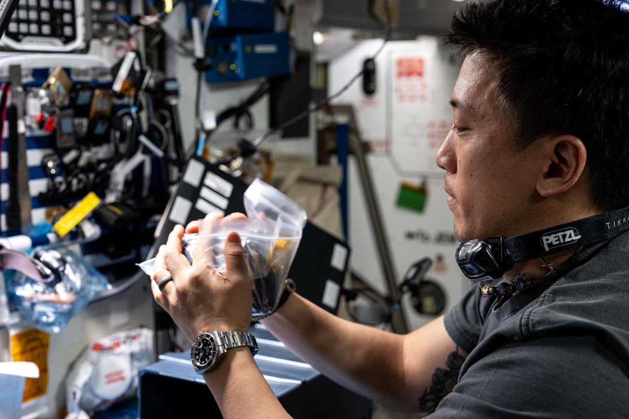 iss073e0032802 (May 16, 2025) --- NASA astronaut and Expedition 73 Flight Engineer Jonny Kim services hardware that promotes physical science and crystalization research inside the Advanced Space Experiment Processor-4 (ADSEP-4) aboard the International Space Station. The ADSEP-4 is supporting a technology demonstration potentially enabling the synthesis of medications during deep space missions and improving the pharmaceutical industry on Earth.