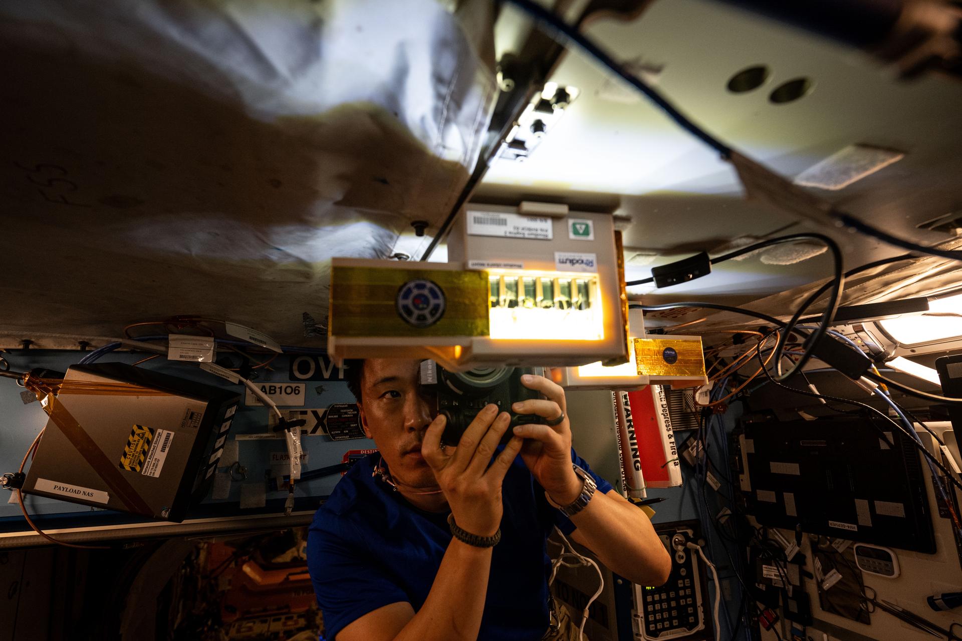 NASA astronaut and Expedition 73 Flight Engineer Jonny Kim photographs genetically modified, extemely dwarf tomato plants growing inside specialized research hardware, called Rhodium BioCuvettes, aboard the International Space Station's Destiny laboratory module. The space botany experiment tests the plants ability to grow without photosynthesis and survive in confined environments in weightlessness potentially supporting crop production on spacecraft.
