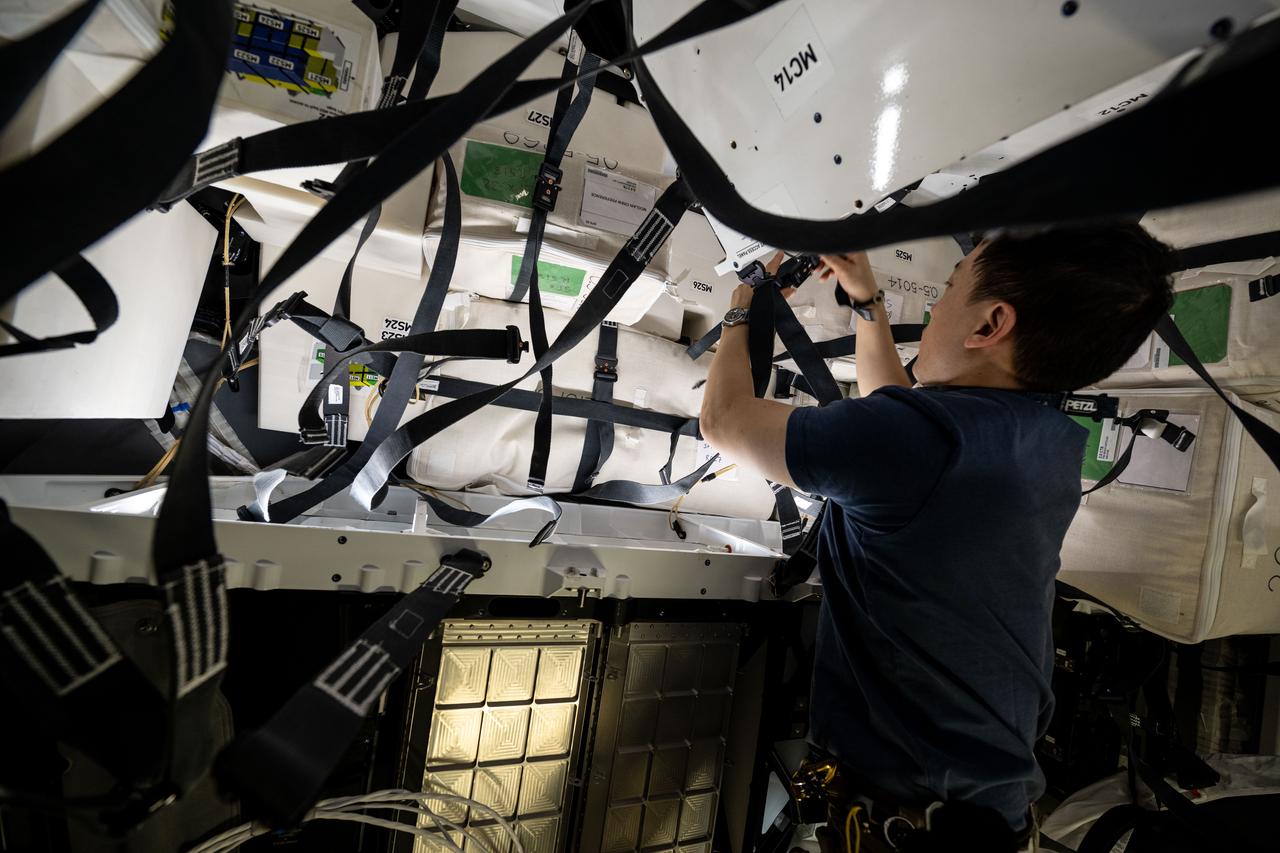 iss073e0071396 (May 15, 2025) --- NASA astronaut and Expedition 73 Flight Engineer Jonny Kim works inside the SpaceX Dragon cargo spacecraft readying the vehicle to be packed with completed science experiments, time-critical research samples, and International Space Station hardware before its departure.