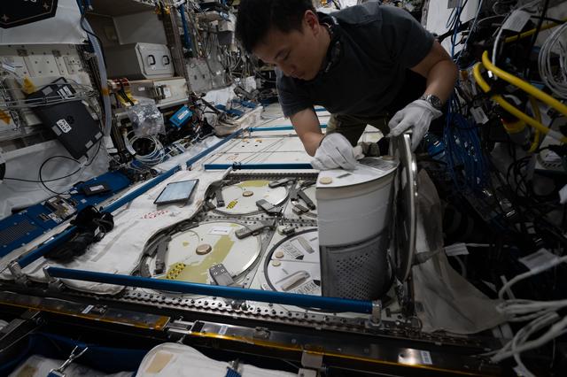 NASA image: NASA astronaut Jonny Kim removes a cryogenic storage unit containing frozen protein crystal samples