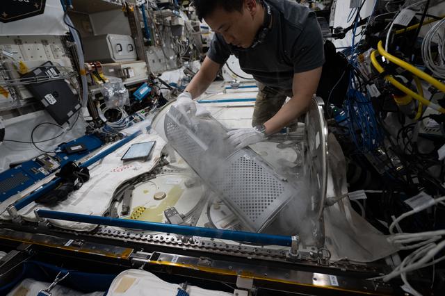 NASA image: NASA astronaut Jonny Kim removes a cryogenic storage unit containing frozen protein crystal samples