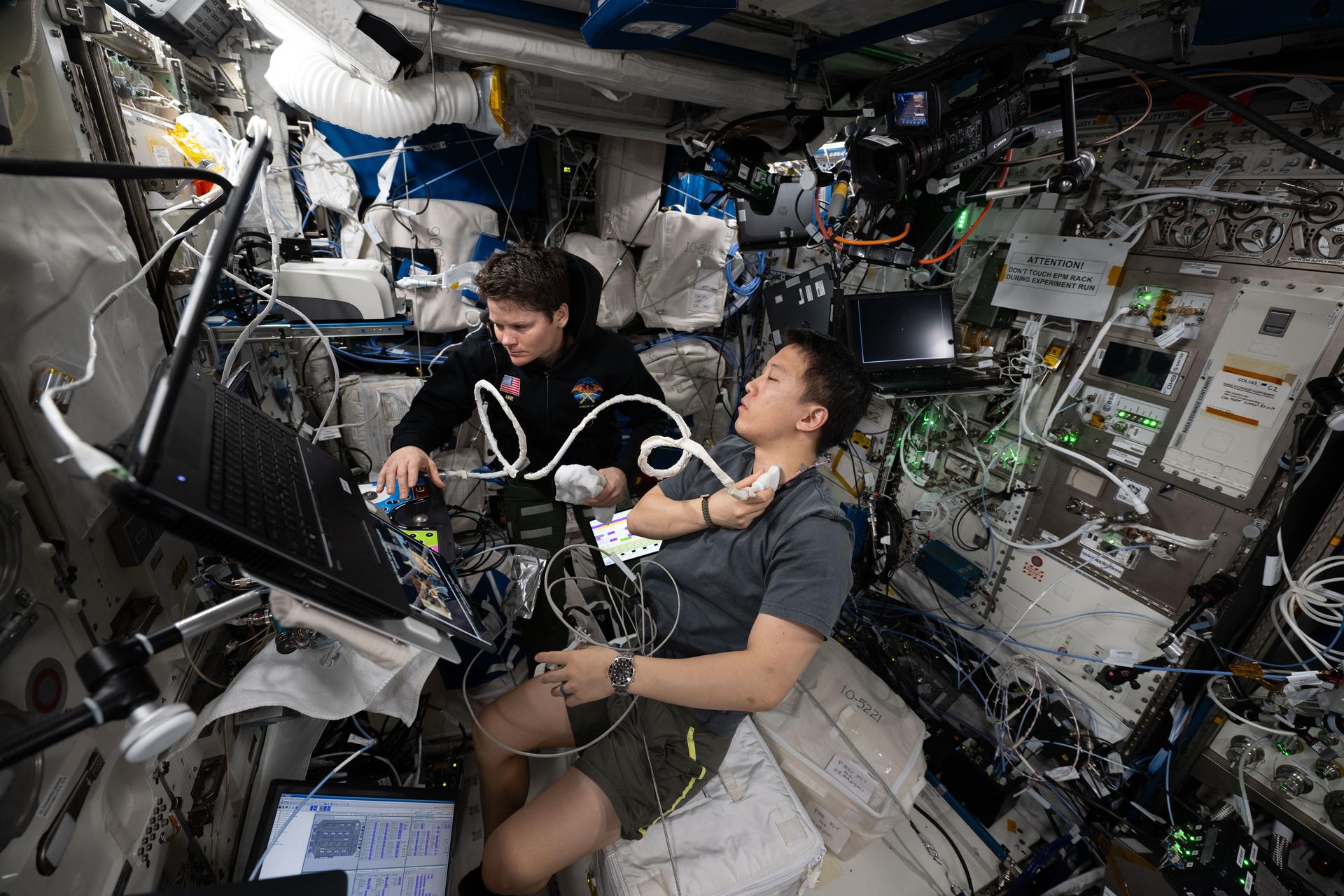 iss073e0076065 (May 19, 2025) --- NASA astronaut Anne McClain helps NASA astronaut Jonny Kim conduct an ultrasound aboard the International Space Station. Ultrasounds allow real-time observation of what is happening inside an astronaut’s body in space, such as changes in arteries and the effects of fluids shifting towards the head. In this photo, the checkup is being conducted as a part of the Thigh Cuff study, research to understand if wearing a tight cuff around the leg can help to mitigate headward fluid shifts. Credit. NASA.