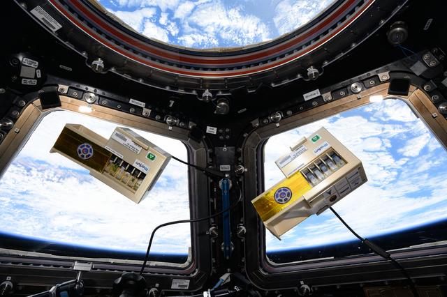 NASA image: iss073e0076866