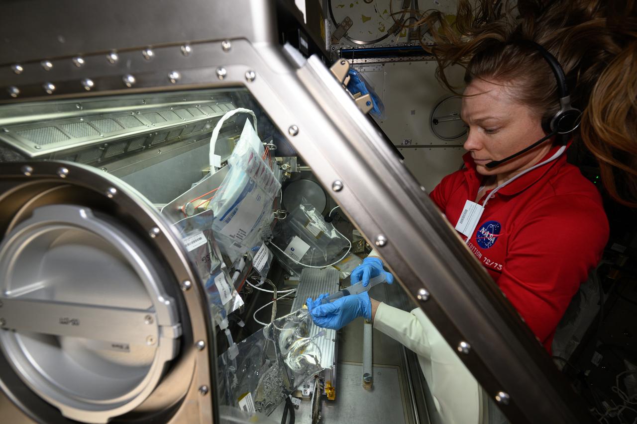iss073e0118830 (May 30, 2025) --- NASA astronaut and Expedition 73 Flight Engineer Nichole Ayers conducts research operations inside the Kibo laboratory module's Life Science Glovebox aboard the International Space Station. Ayers was processing samples of deep-sea bacteria to test a specialized 3D microscope for its ability to monitor water quality, detect potentially infectious organisms, and study liquid mixtures and microorganisms in space and on Earth.
