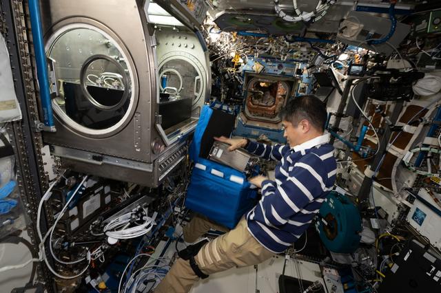 NASA image: JAXA astronaut Takuya Onishi stows physics research hardware used during the Colloidal Solids experiment