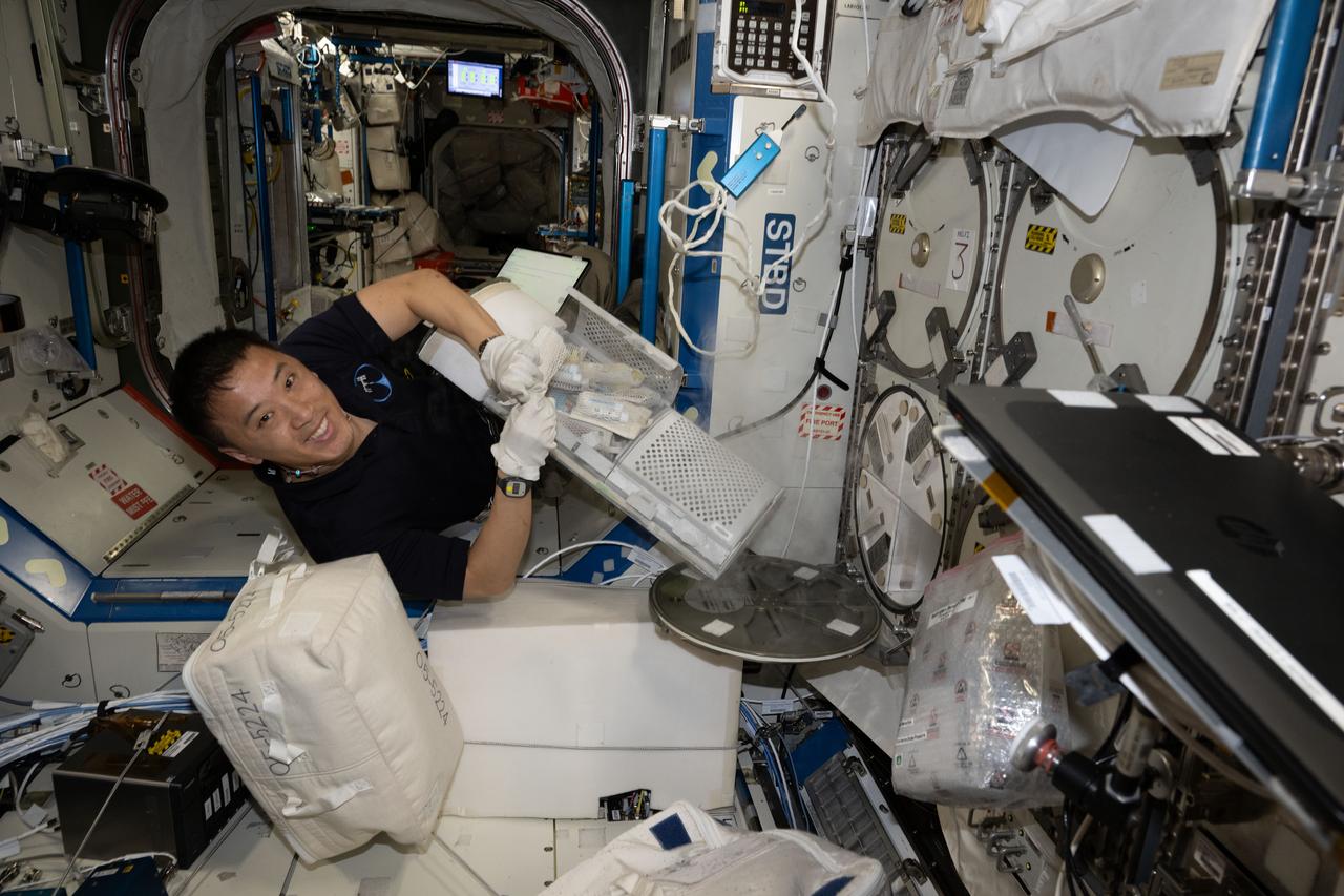 iss073e0135008 (May 29, 2025) --- NASA astronaut and Expedition 73 Flight Engineer Jonny Kim stows research samples inside a cryogenic storage unit for installation inside a science freezer for preservation inside the International Space Station's Destiny laboratory module. Offically called the Minus Eighty-Degree Laboratory Freezer for ISS, or MELFI, the ultra-cold storage unit enables space biology research by preserving biological samples for analysis including blood, saliva, urine, microbes, and more.