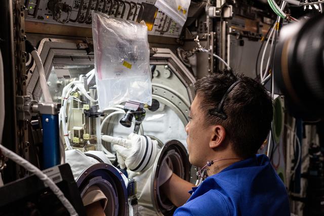 NASA image: iss073e0177558