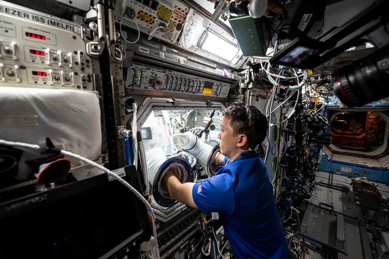 iss073e0177791 (June 12, 2025) --- NASA astronaut and Expedition 73 Flight Engineer Jonny Kim conducts research operations inside the Destiny laboratory module's Microgravity Science Glovebox aboard the International Space Station. Kim swapped syringes containing protein samples and installed test cells inside the glovebox for the Ring-Sheared Drop Interfacial Bioprocessing of Pharmaceuticals investigation that explores using surface tension to contain liquids and study proteins without contacting solid walls. Results may benefit pharmaceutical manufacturing and 3D printing techniques on and off the Earth.