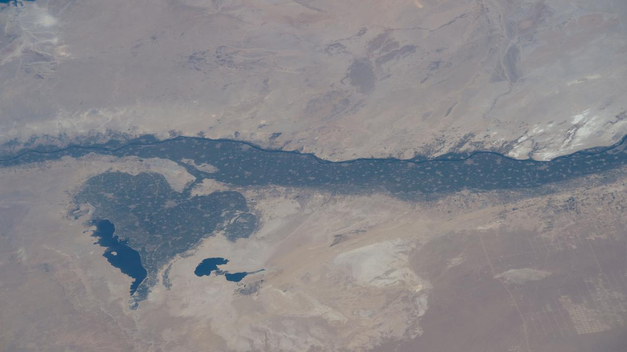 iss073e0178560 (June 14, 2025) --- The leaf-shaped Faiyum Oasis, fed by a channel of the River Nile and bordered on the west by the saltwater Qarum Lake with the Wadi El Rayan nature reserve to its southwest, is pictured from the International Space Station as it orbited 260 miles above the Libya-Egypt border.