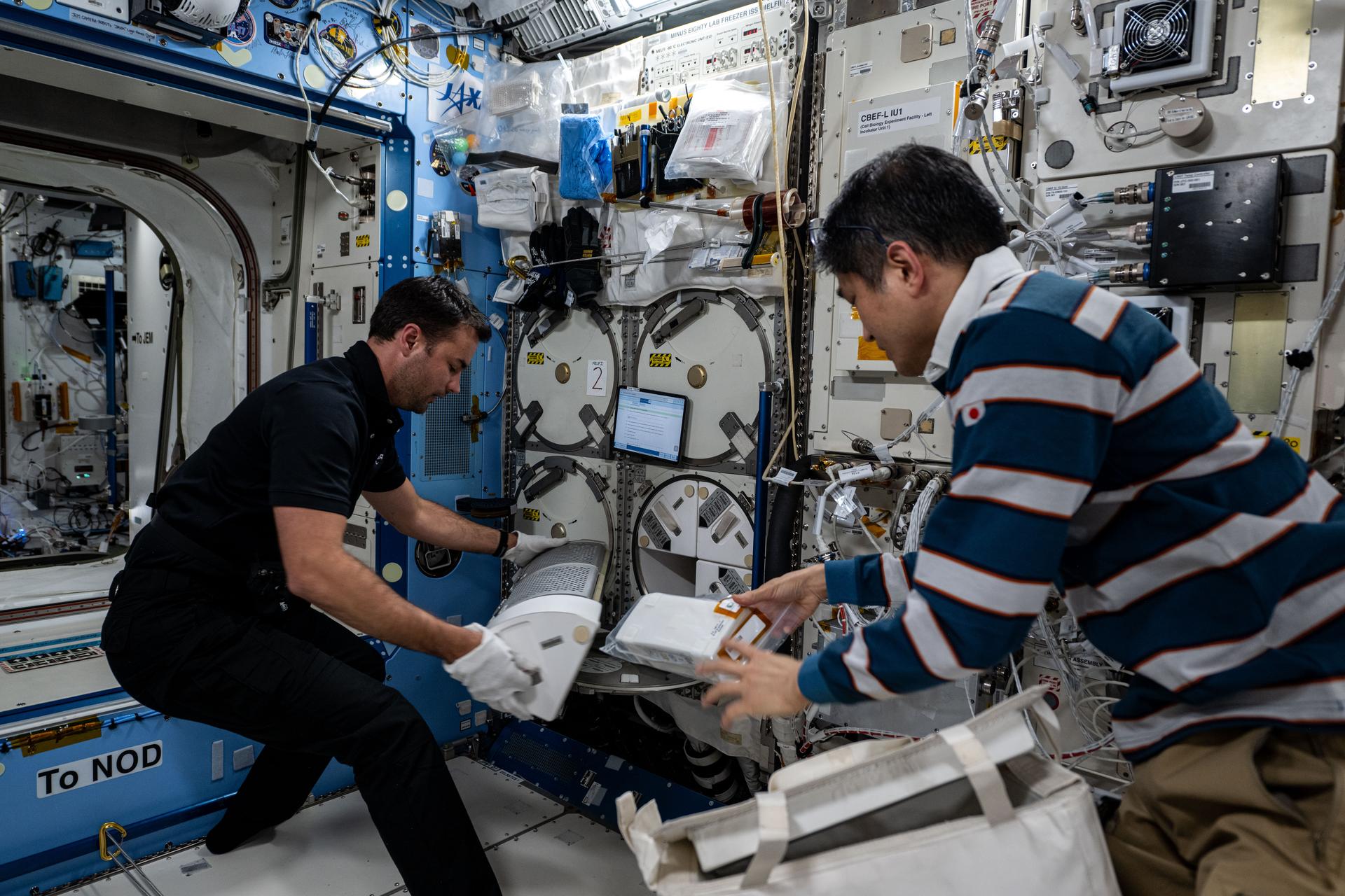Axiom Mission 4 private astronaut Tibor Kapu (at left) from Hungary loads a research sample-packed cryogenic storage unit, called a dewar, into a science freezer aboard the International Space Station's Kibo laboratory module. Expedition 73 Commander Takuya Onishi from JAXA (Japan Aerospace Exploration Agency) assisted Kapu during the science experiment transfers from the SpaceX Dragon crew spacecraft into the orbital outpost.