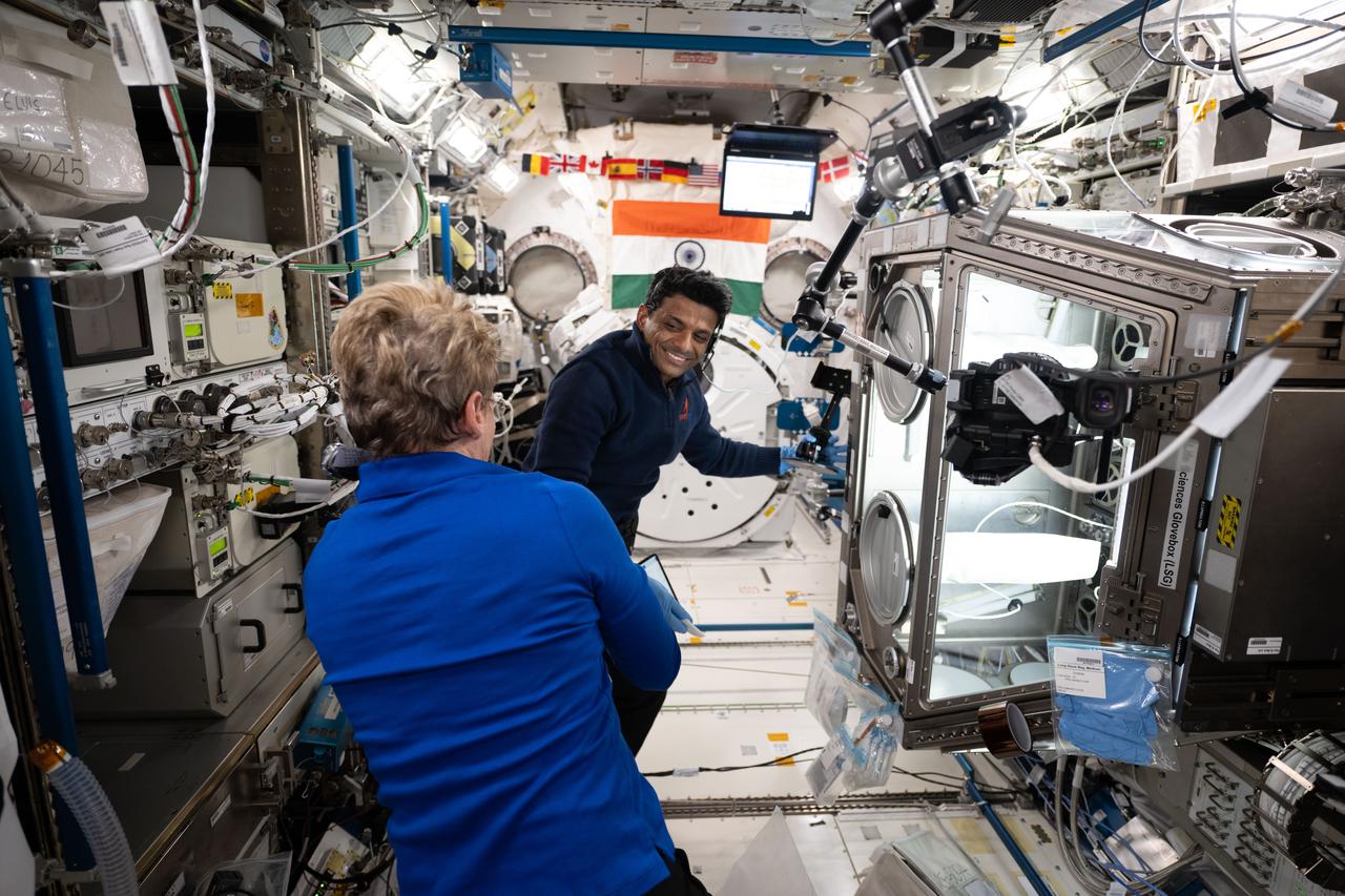 iss073e0252954 (June 28, 2025) --- Axiom Mission 4 (Ax-4) Commander and veteran astronaut Peggy Whitson assists Ax-4 Mission Specialist Shubhanshu Shukla from ISRO (Indian Space Research Organisation) during his research work inside the International Space Station's Kibo laboratory module. Shukla was using Kibo's Life Science Glovebox studying how to improve muscle regeneration in microgravity and maintain a crew member's muscle health during spaceflight.