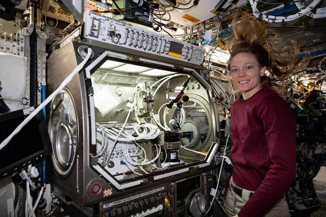 NASA image: NASA astronaut Nichole Ayers removes physics research hardware inside the Microgravity Science Glovebox