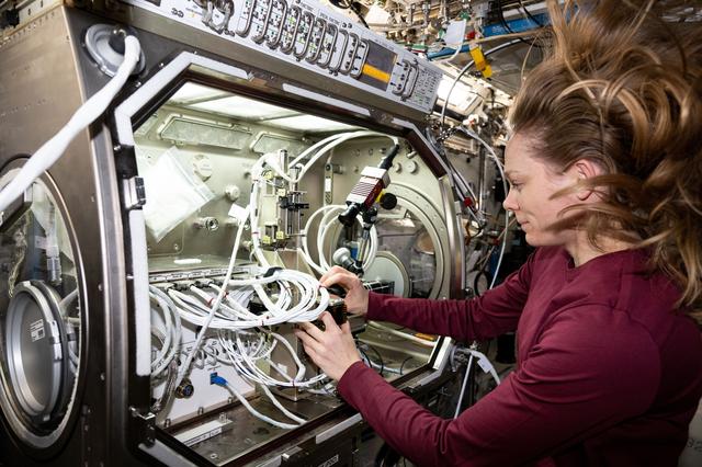 NASA image: NASA astronaut Nichole Ayers removes physics research hardware inside the Microgravity Science Glovebox