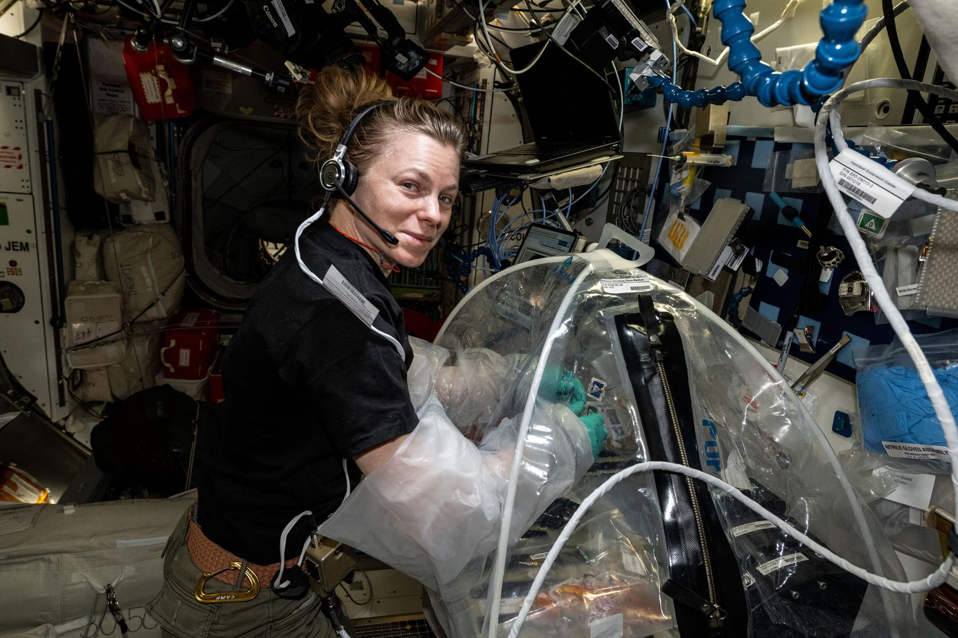 NASA astronaut and Expedition 73 Flight Engineer Zena Cardman works inside a portable glovebag aboard the International Space Station's Harmony module. Cardman was installing experiment modules containing liver tissue into an artificial gravity generator for a biotechnology investigation exploring how bioprinted, or engineered, liver tissues containing blood vessels behave in microgravity. Results may improve long term health for astronauts and improve quality of life for patients on Earth.