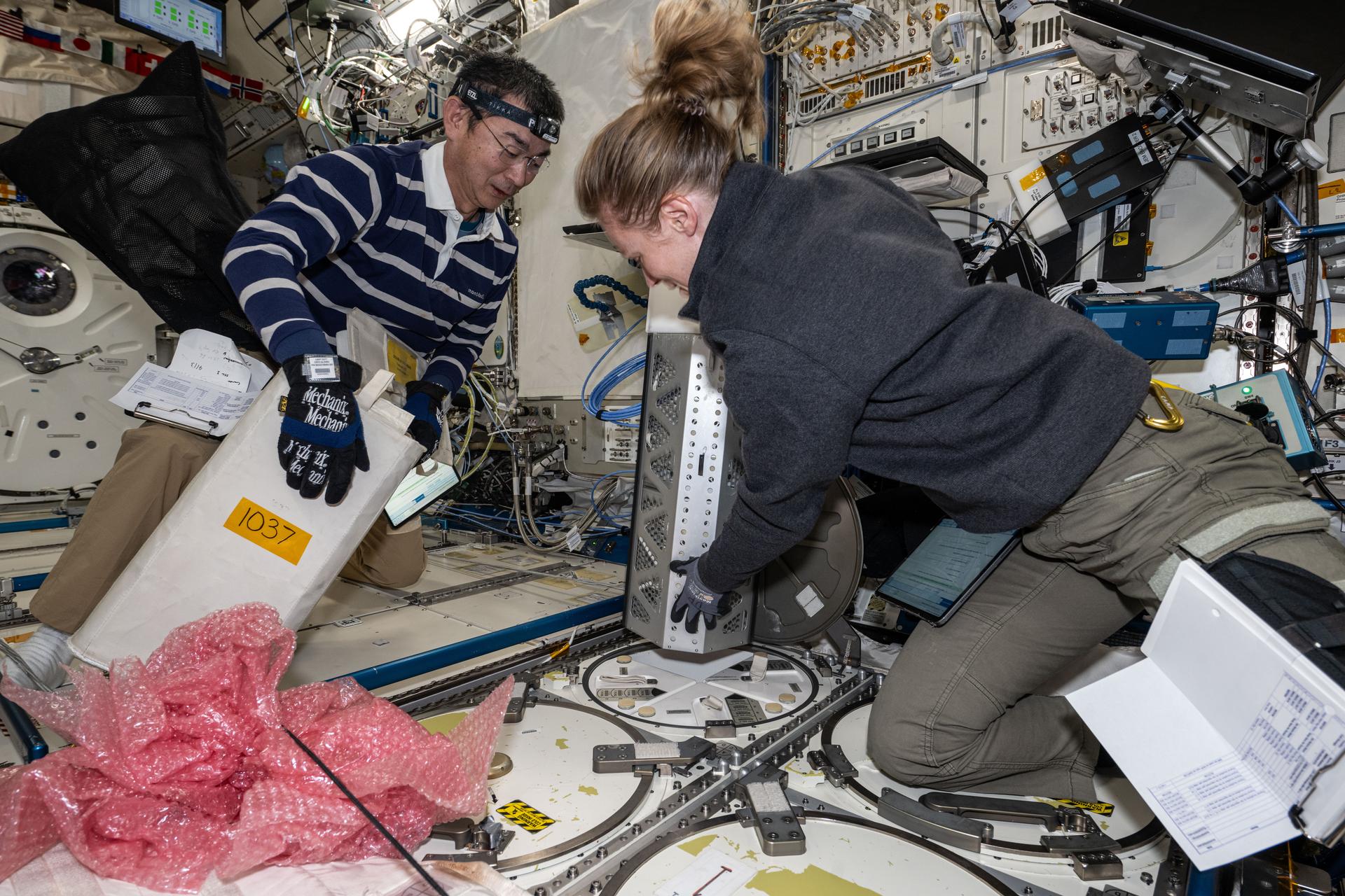 Expedition 73 Flight Engineers Kimiya Yui of JAXA (Japan Aerospace Exploration Agency) and Zena Cardman of NASA unpack some of the science, supplies, and hardware delivered aboard the SpaceX Dragon cargo spacecraft and begin installing the new gear inside the International Space Station.