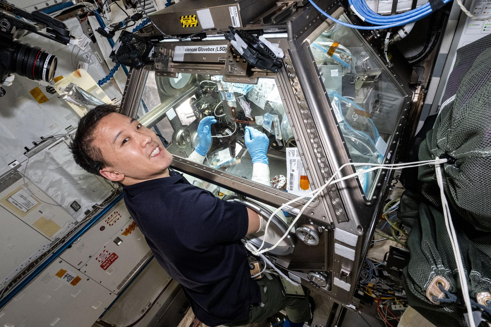 NASA astronaut and Expedtion 73 Flight Engineer Jonny Kim processes bone cell samples inside the Kibo laboratory module's Life Science Glovebox. He was exploring the molecular mechanisms of space-induced bone loss for an investigation that could help the human skeletal system adapt to spaceflight and lead to advanced treatments for aging conditions and bone diseases on Earth.