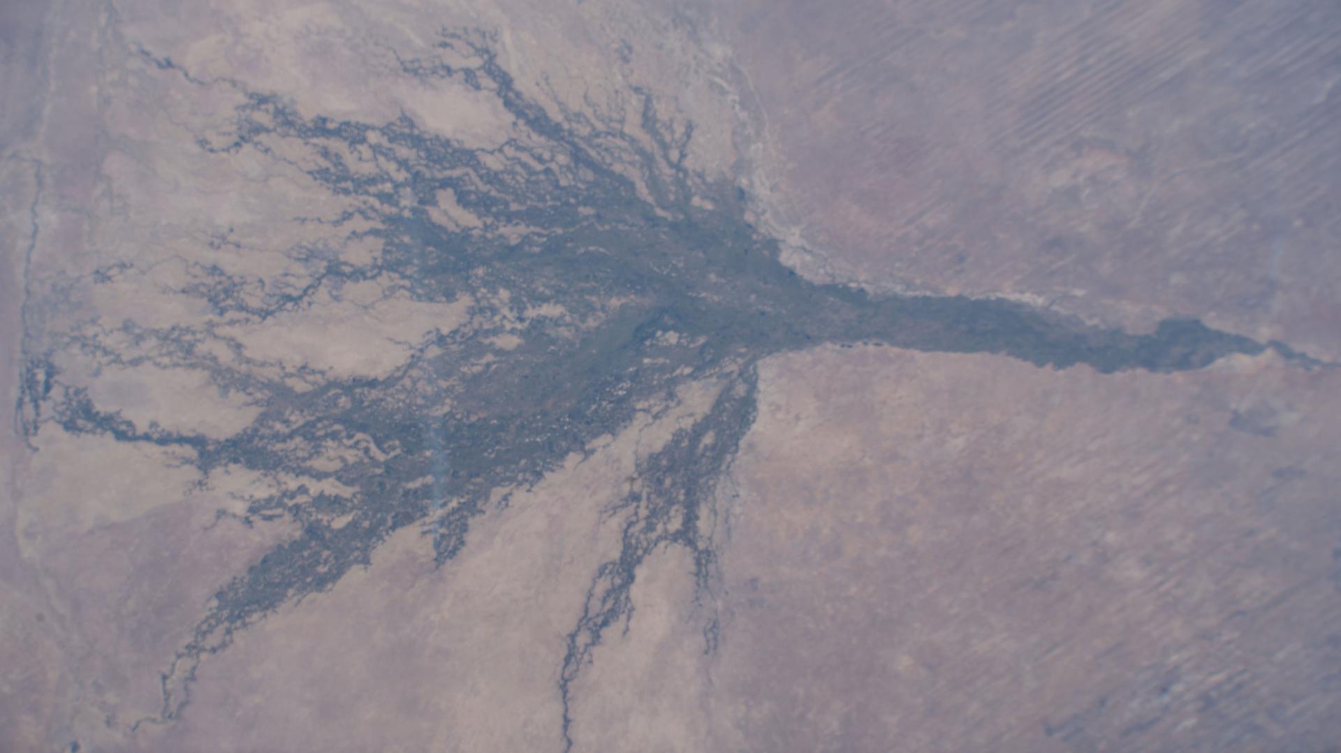 The Okavango Delta, part of the Moremi Game Reserve in Botswana, is formed by the Okavango River flowing in from Angola. Instead of reaching the sea, the river empties into the Kalahari Desert, creating a lush, seasonally flooded wetland that supports one of the most biodiverse ecosystems in Africa. This photograph was taken from the International Space Station as it orbited 261 miles above the African continent.