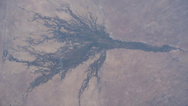 The Okavango Delta is formed by the Okavango River flowing in from Angola