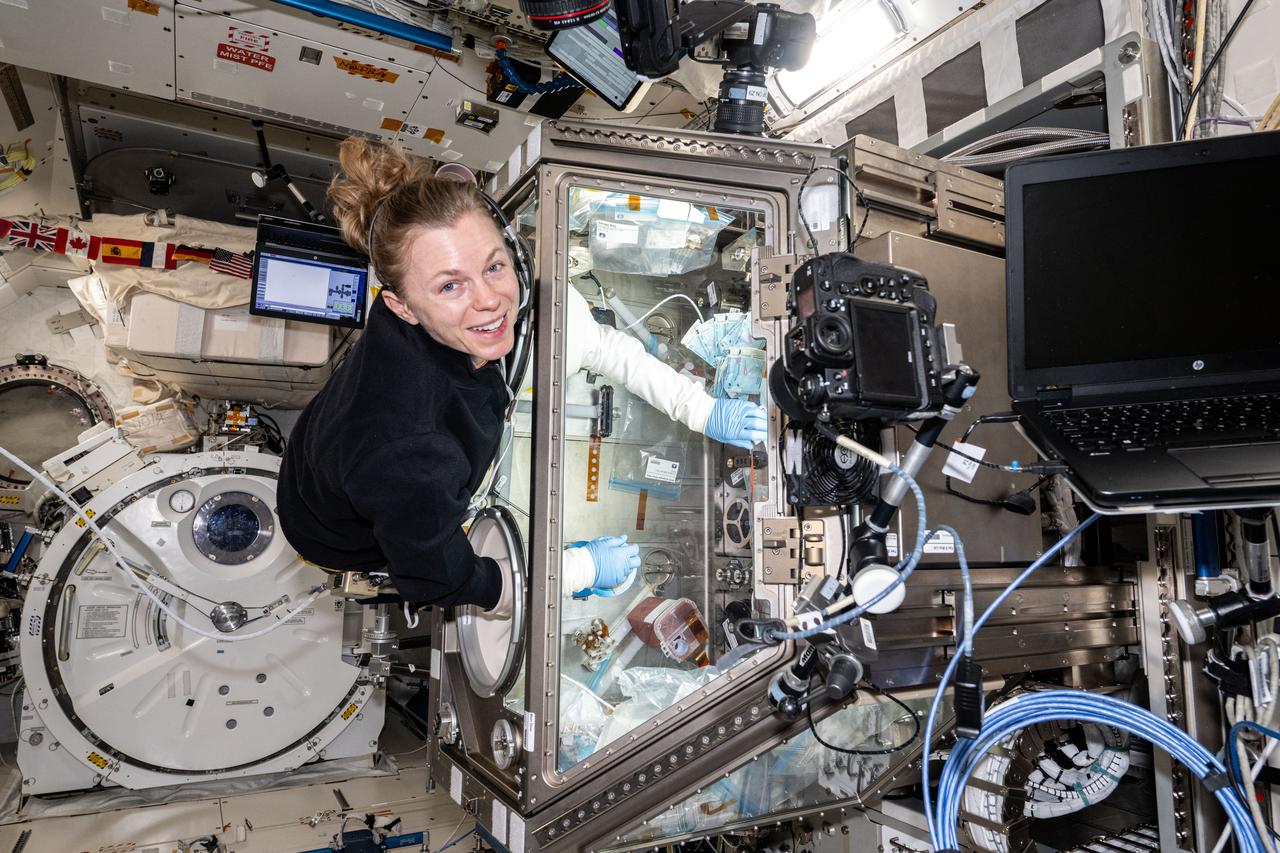 iss073e0605876 (Sept. 4, 2025) --- NASA astronaut and Expedition 73 Flight Engineer Zena Cardman processes bone stem cell samples inside the Kibo laboratory module’s Life Science Glovebox aboard the International Space Station. Cardman was helping researchers explore how microgravity affects bone tissue to safeguard a crew member’s skeletal system and possibly treat aging conditions and bone diseases on Earth.