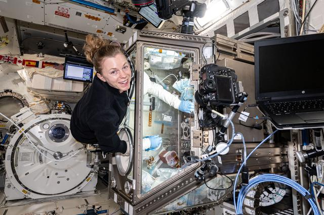 NASA image: NASA astronaut Zena Cardman processes bone stem cell samples
