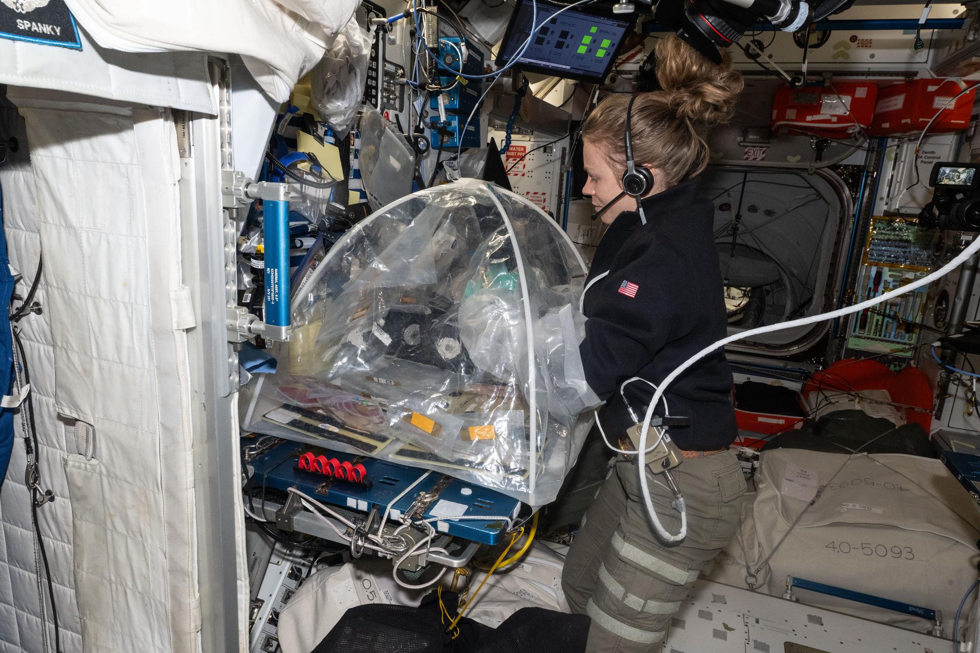 NASA astronaut and Expedition 73 Flight Engineer Zena Cardman treats bioprinted liver tissues in a portable glovebag inside the International Space Station's Harmony module. The samples will be placed inside an artificial gravity-generating research device to help researchers understand how microgravity affects the formation of blood vessels in engineered tissues. Result may lead to advanced treatments protecting astronauts on long-duration spaceflights and improve bioprinting techniques for patient therapies on Earth.