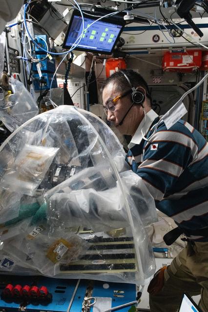 NASA image: JAXA astronaut Kimiya Yui treats bioprinted liver tissues inside a portable glovebag
