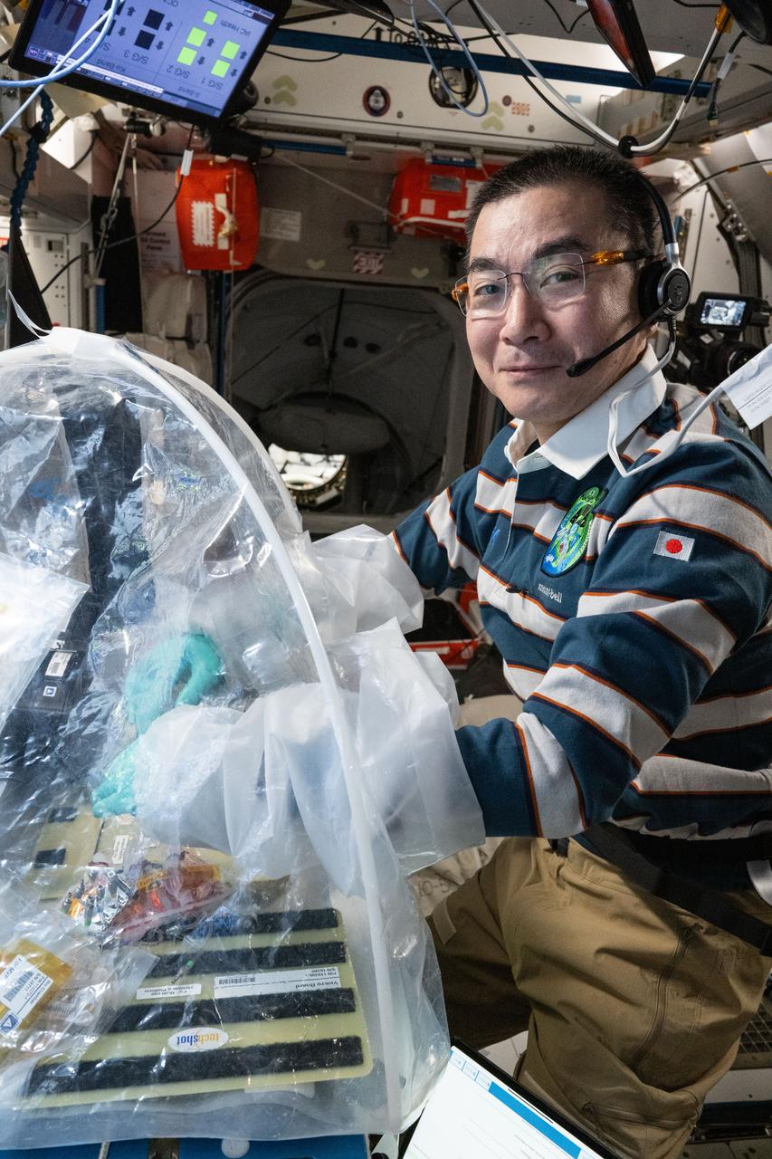iss073e0606897 (Sept. 5, 2025) --- JAXA (Japan Aerospace Exploration Agency) astronaut and Expedition 73 Flight Engineer Kimiya Yui treats bioprinted liver tissues in a portable glovebag inside the International Space Station's Harmony module. The samples will be placed inside an artificial gravity-generating research device to help researchers understand how microgravity affects the formation of blood vessels in engineered tissues. Result may lead to advanced treatments protecting astronauts on long-duration spaceflights and improve bioprinting techniques for patient therapies on Earth.