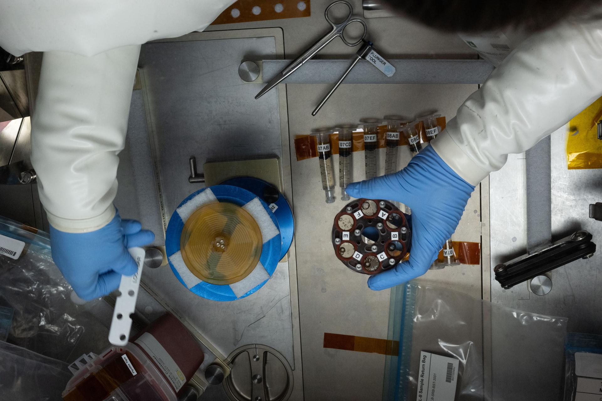 iss073e0759779 (Sept. 2, 2025) --- A top-down view inside the Destiny laboratory module’s Microgravity Science Glovebox shows the gloved arms and hands of NASA astronaut and Expedition 73 Flight Engineer Zena Cardman. She was processing bone marrow stem cell samples for the Microgravity Associated Bone Loss-B (MABL-B) experiment. The space biology investigation could help scientists better understand the molecular mechanisms behind space-caused bone loss and the natural aging process on Earth.