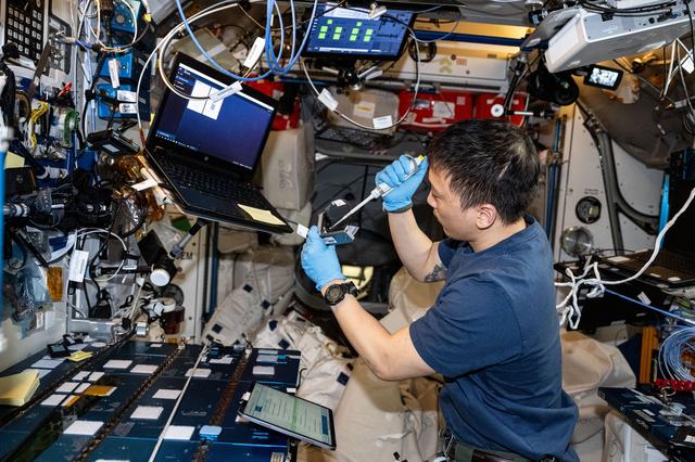 NASA image: iss073e0768479