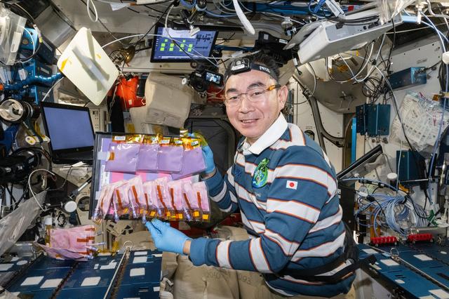 NASA image: JAXA astronaut Kimiya Yui shows off production bags containing bioengineered yeasts