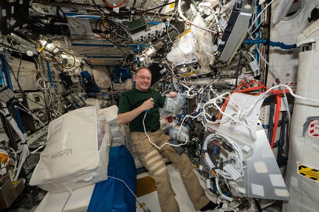 NASA image: NASA astronaut Mike Fincke works on the BioFabrication Facility