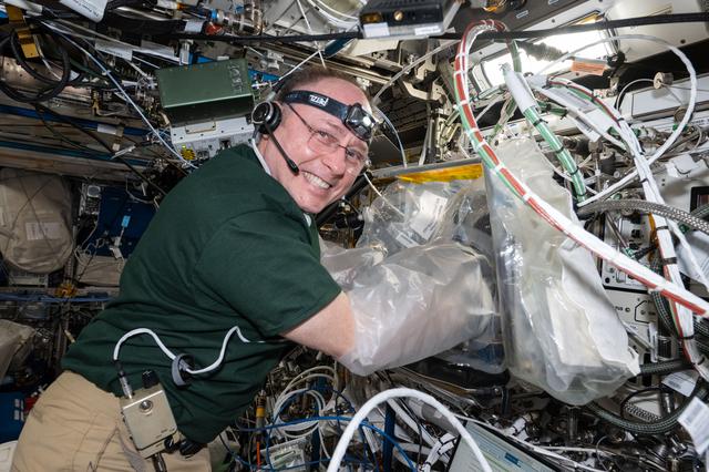 NASA image: NASA astronaut Mike Fincke works on the BioFabrication Facility